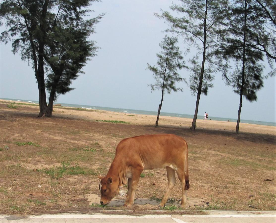 The Sunrise Beach Cafe And Guesthouse Ban Tha Khoi Exteriör bild